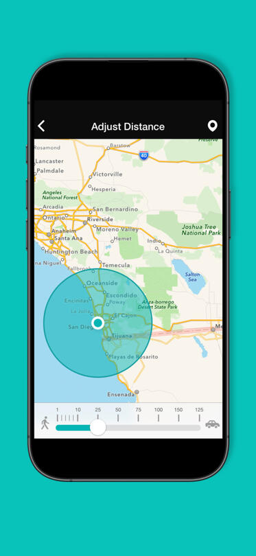 Founder / CEO, Product + Design Direction